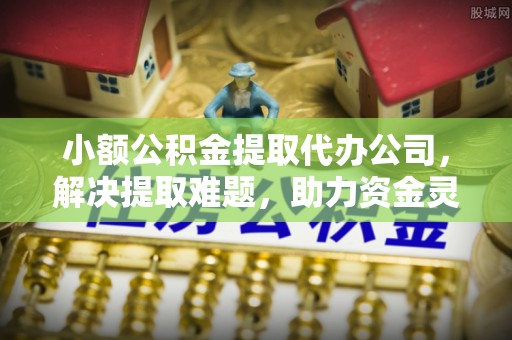 龙马潭小额公积金提取代办公司，解决提取难题，助力资金灵活使用