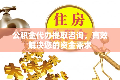 龙马潭公积金代办提取咨询，高效解决您的资金需求