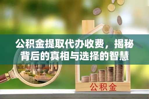 龙马潭公积金提取代办收费，揭秘背后的真相与选择的智慧
