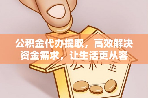 龙马潭公积金代办提取，高效解决资金需求，让生活更从容