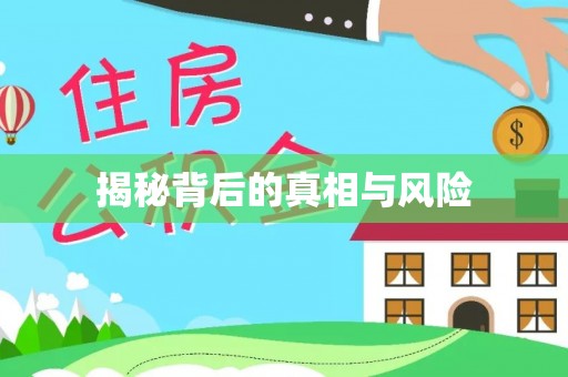 龙马潭揭秘背后的真相与风险