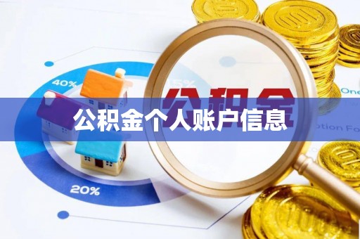 龙马潭公积金个人账户信息