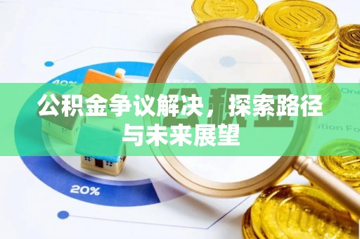 龙马潭公积金争议解决，探索路径与未来展望