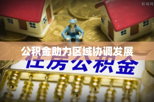 龙马潭公积金助力区域协调发展
