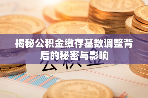 龙马潭揭秘公积金缴存基数调整背后的秘密与影响