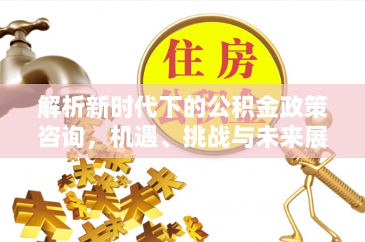 龙马潭解析新时代下的公积金政策咨询，机遇、挑战与未来展望
