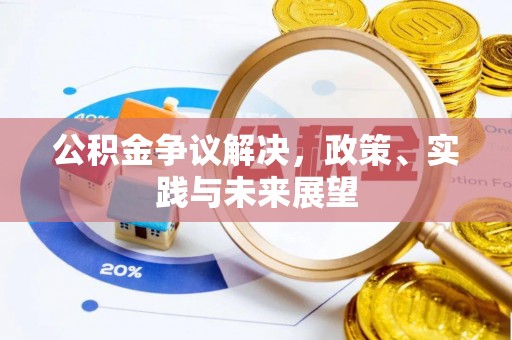 龙马潭公积金争议解决，政策、实践与未来展望