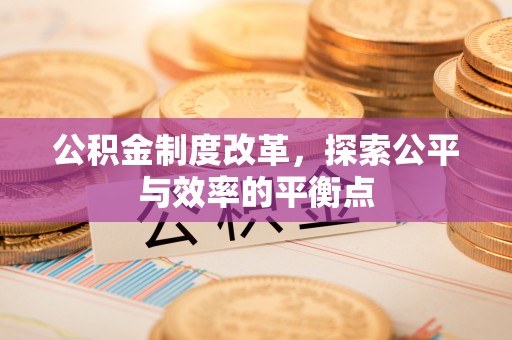龙马潭公积金制度改革，探索公平与效率的平衡点