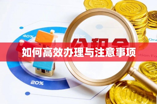 龙马潭如何高效办理与注意事项