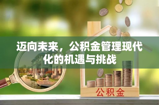 龙马潭迈向未来，公积金管理现代化的机遇与挑战