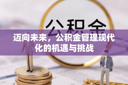 龙马潭迈向未来，公积金管理现代化的机遇与挑战