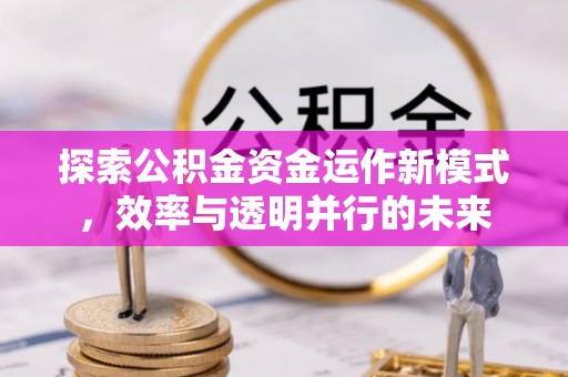 龙马潭探索公积金资金运作新模式，效率与透明并行的未来