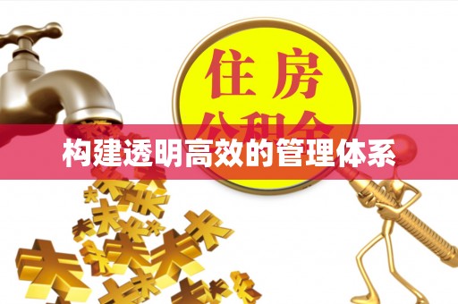 龙马潭构建透明高效的管理体系