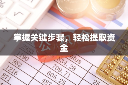 龙马潭掌握关键步骤，轻松提取资金
