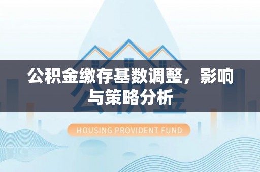 龙马潭公积金缴存基数调整，影响与策略分析