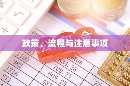 龙马潭政策、流程与注意事项