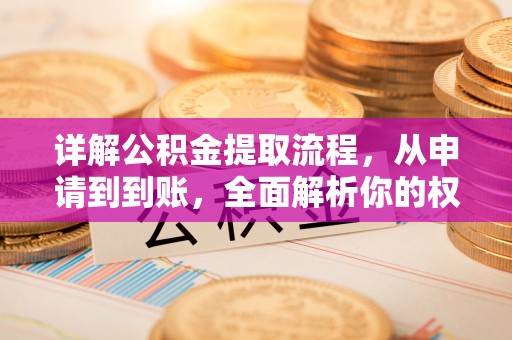 龙马潭详解公积金提取流程，从申请到到账，全面解析你的权益与操作步骤