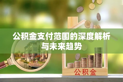 龙马潭公积金支付范围的深度解析与未来趋势