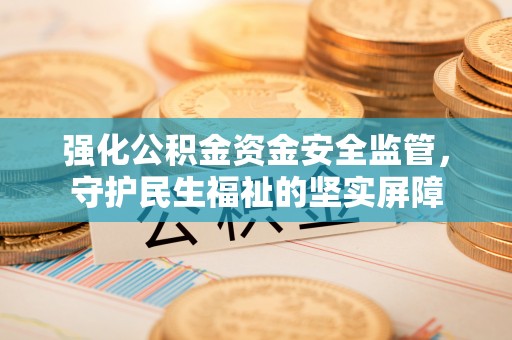 龙马潭强化公积金资金安全监管，守护民生福祉的坚实屏障