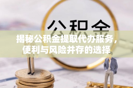 龙马潭揭秘公积金提取代办服务，便利与风险并存的选择