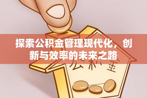 龙马潭探索公积金管理现代化，创新与效率的未来之路