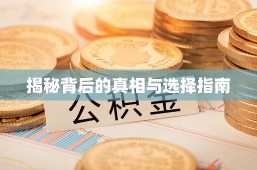 龙马潭揭秘背后的真相与选择指南