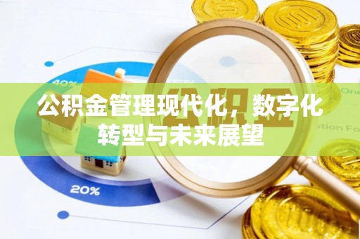 龙马潭公积金管理现代化，数字化转型与未来展望