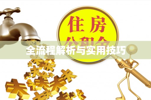龙马潭全流程解析与实用技巧