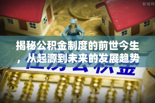 龙马潭揭秘公积金制度的前世今生，从起源到未来的发展趋势