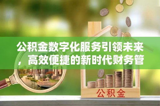 龙马潭公积金数字化服务引领未来，高效便捷的新时代财务管理