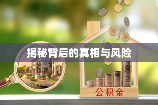 龙马潭揭秘背后的真相与风险