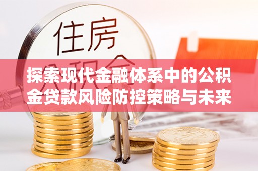 龙马潭探索现代金融体系中的公积金贷款风险防控策略与未来发展趋势