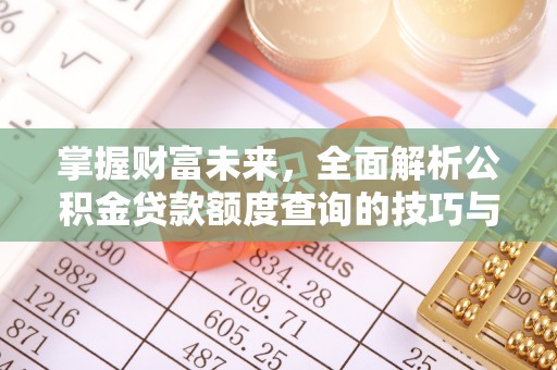 龙马潭掌握财富未来，全面解析公积金贷款额度查询的技巧与策略