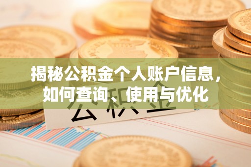 龙马潭揭秘公积金个人账户信息，如何查询、使用与优化
