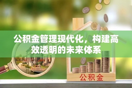 龙马潭公积金管理现代化，构建高效透明的未来体系
