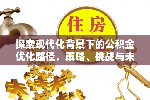 龙马潭探索现代化背景下的公积金优化路径，策略、挑战与未来展望