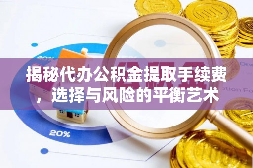 龙马潭揭秘代办公积金提取手续费，选择与风险的平衡艺术