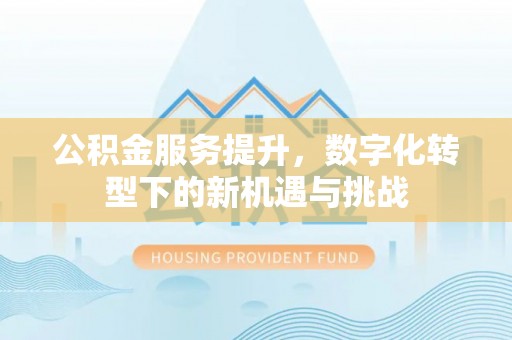 龙马潭公积金服务提升，数字化转型下的新机遇与挑战