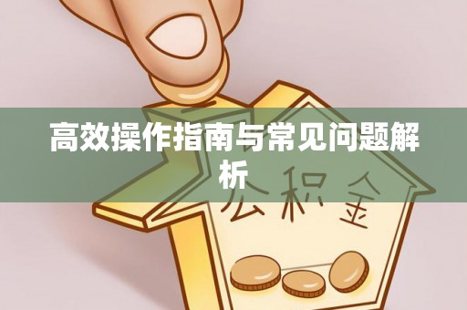 龙马潭高效操作指南与常见问题解析