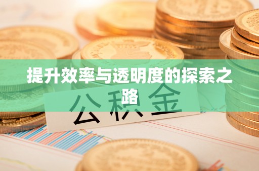 龙马潭提升效率与透明度的探索之路