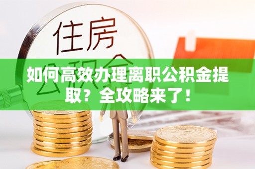 龙马潭如何高效办理离职公积金提取？全攻略来了！