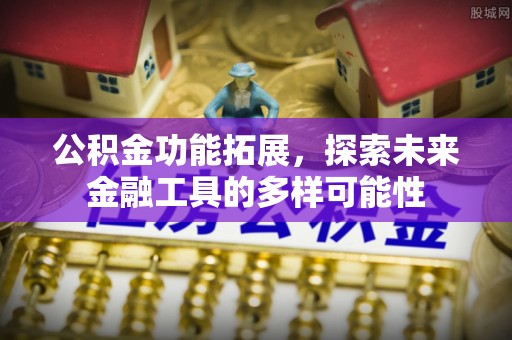 龙马潭公积金功能拓展，探索未来金融工具的多样可能性