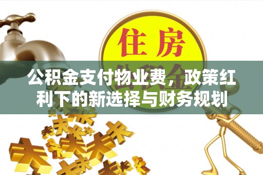 龙马潭公积金支付物业费，政策红利下的新选择与财务规划