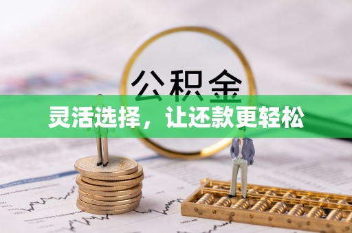 龙马潭灵活选择，让还款更轻松