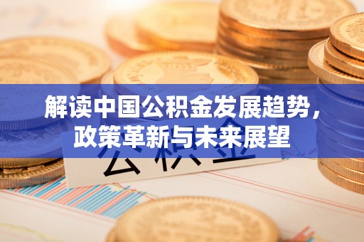 龙马潭解读中国公积金发展趋势，政策革新与未来展望