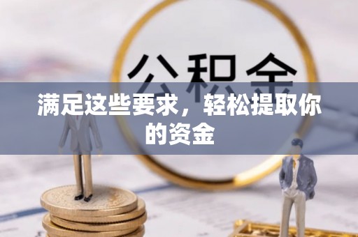 龙马潭满足这些要求，轻松提取你的资金