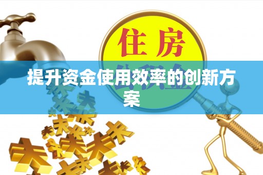 龙马潭提升资金使用效率的创新方案