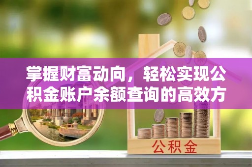 龙马潭掌握财富动向，轻松实现公积金账户余额查询的高效方式