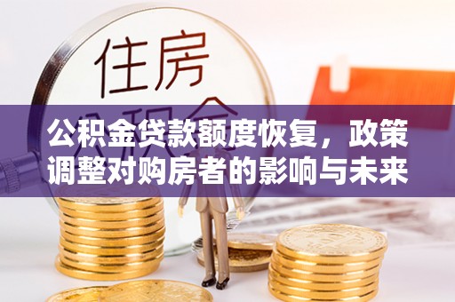 龙马潭公积金贷款额度恢复，政策调整对购房者的影响与未来展望