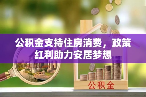 龙马潭公积金支持住房消费，政策红利助力安居梦想